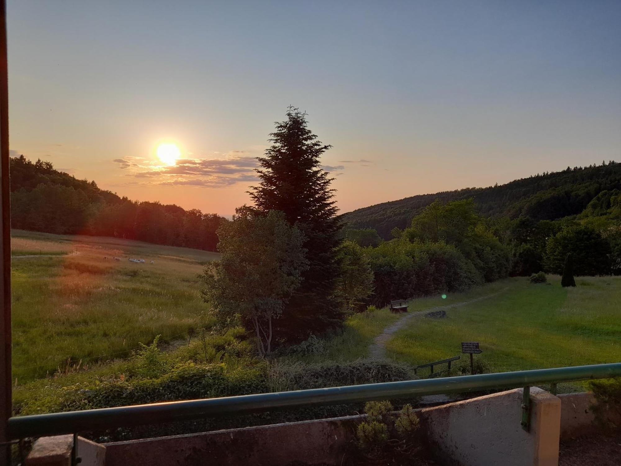 Schwarzwald Pur Apartman Sasbachwalden Kültér fotó