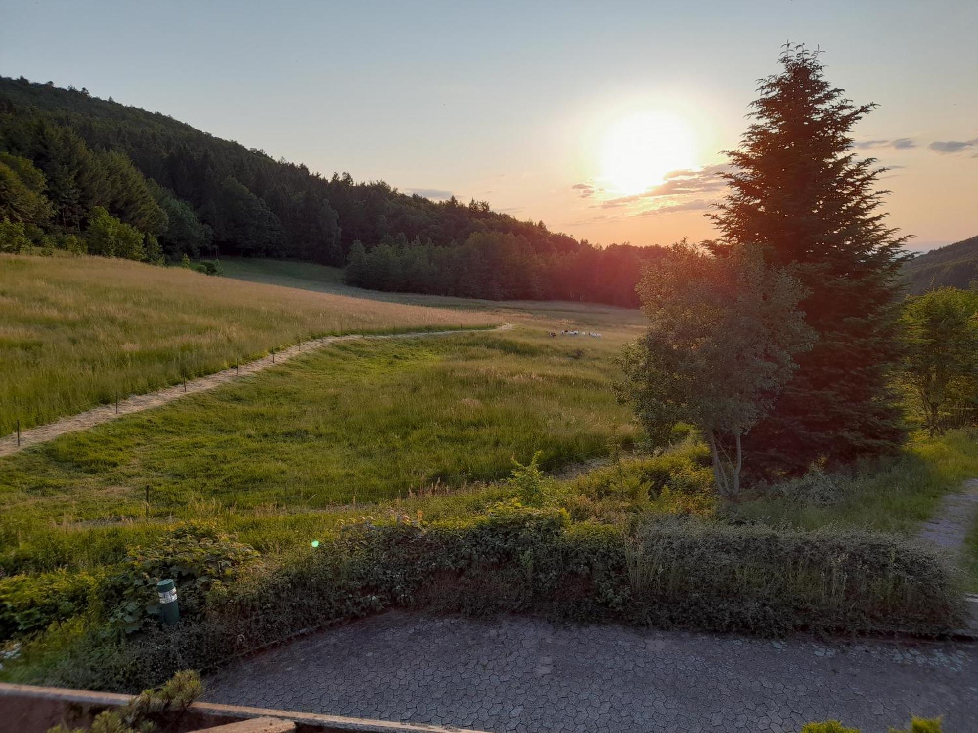 Schwarzwald Pur Apartman Sasbachwalden Kültér fotó
